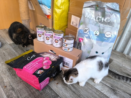 Kočičí Osudy, z. s.